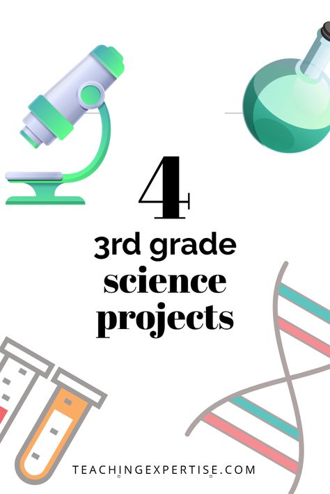 You're helping your third grader with a science project? Check out our article on how to do 3rd grade science projects. Science Experiment For 3rd Grade, Homeschool Science Experiments 3rd Grade, Easy Science Fair Projects For 3rd Grade, Third Grade Learning Activities, Third Grade Crafts Activities, Grade 4 Science Projects, Science Projects For 3rd Grade, Third Grade Science Fair Projects, 3rd Grade Science Classroom