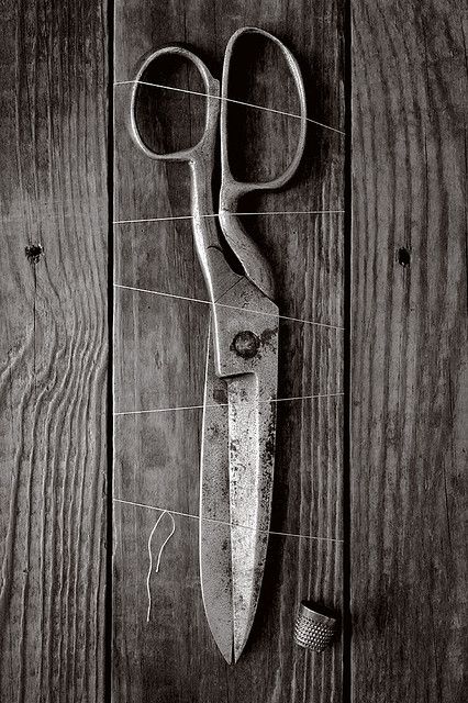 Art Fil, Heartfelt Thanks, Vintage Scissors, Garden Sheds, Vintage Tools, Sewing Room, Still Life Photography, Needle And Thread, Shades Of Grey