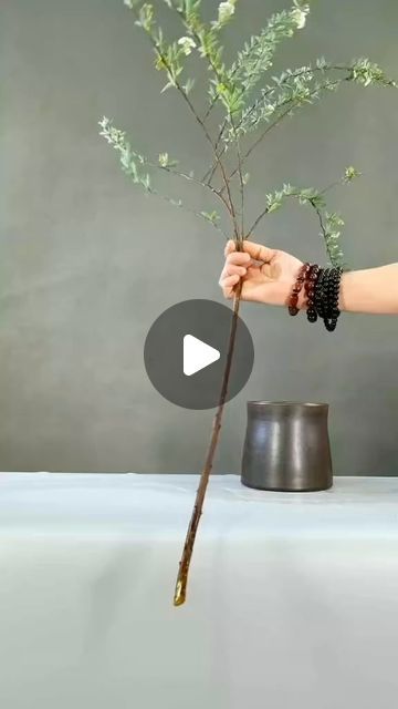 Planting 🌱 on Instagram: "✨🌸🌷 #flowerarrangement #art #flowers #florist #trendingvideo #DIY" Simple Ikebana Arrangements, Diy Floating Floral Arrangements, How To Make Flower Arrangements Diy, Dry Flowers Arrangements Ideas, Flower Arrangements Simple Vase, Easy Flower Arrangements Diy, Wood Flower Arrangements, Diy Wedding Arrangements, Floristry Techniques