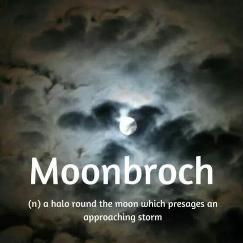 moonbroch Word Of The Week, Unique Words Definitions, Uncommon Words, Fancy Words, Weird Words, Unusual Words, Rare Words, Big Words, Word Definitions