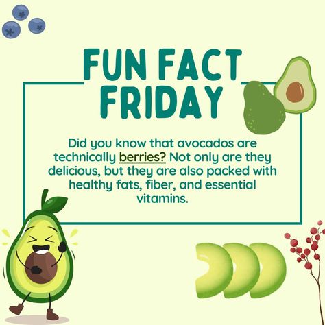 🌞 Fun Fact Friday! 🥑 Did you know that avocados are technically berries? Not only are they delicious, but they are also packed with healthy fats, fiber, and essential vitamins. What's your favourite way to eat avocado? 🥑 #TriviaFriday #Superfoods #HealthyEating Vitamin Facts, Fun Fact Friday, Essential Vitamins, Fun Fact, Healthy Fats, Superfoods, Knowing You, Did You Know, Fun Facts