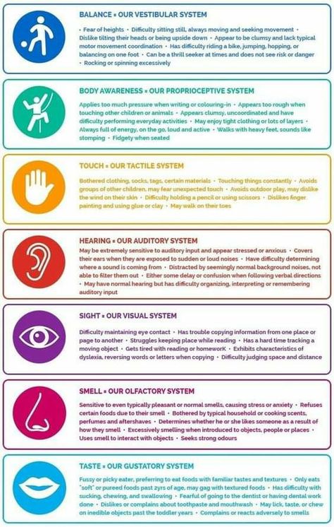 Sensory Integration Disorder, Sensory Seeker, Auditory Processing Disorder, Sensory Disorder, Vestibular System, Sensory Therapy, Sensory System, Sensory Diet, Auditory Processing