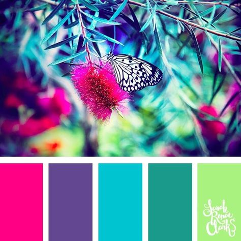 Spring color ideas | 25 color palettes inspired by the PANTONE color trend predictions for Spring 2018 – Use these color schemes as inspiration for your next colorful project! Check out more color schemes at www.sarahrenaeclark.com #color #colorpalette Color Catalog, Spring Color Palette, Color Schemes Colour Palettes, Color Palate, Spring Color, Color Palette Design, Colour Schemes, Color Swatches, Color Pallets