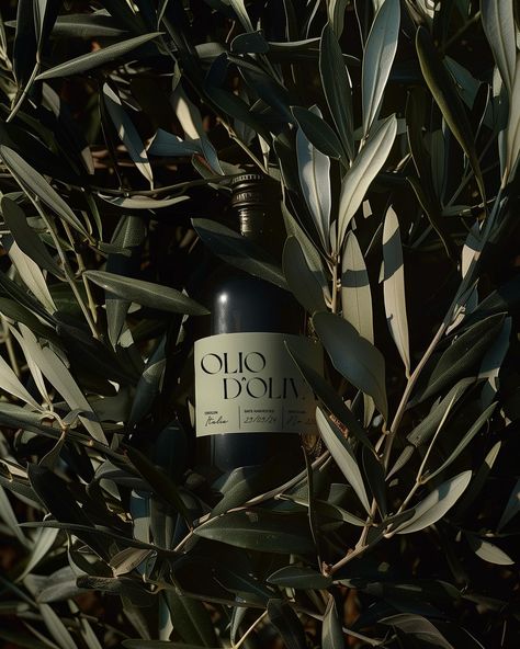 Olio D'Oliva - To celebrate the sunny weather we’ve been enjoying, we decided to draw inspiration from some projects we’ve seen online by other creators and conceptualise our own olive oil brand! Inspired by Italian olive farms and typefaces, we’ve developed a sleek yet luxurious olive oil brand. What do you think? 🫒🇮🇹 #branding #branddesign #brandidentity #oliveoilbrand #summerbrand #summertime Olive Oil Product Photography, Olive Oil Aesthetic, Olives Aesthetic, Olive Oil Design, Olive Oil Branding, Oil Branding, Olive Oil Bottle Design, Olive Oil Brands, Olive Oil Packaging