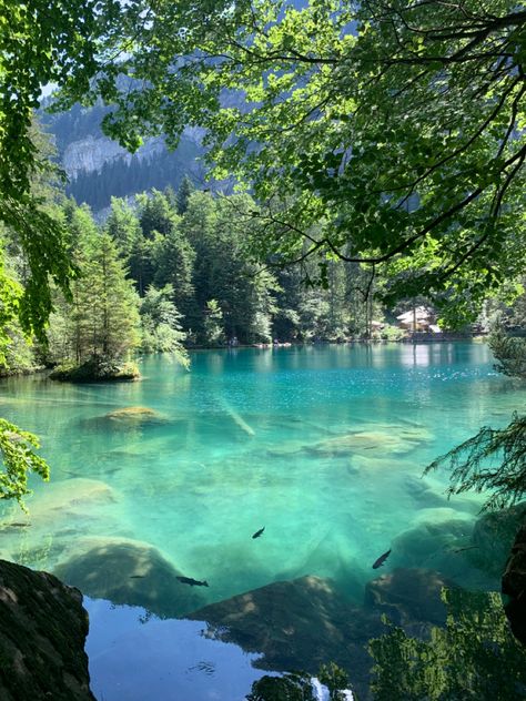 Blausee Switzerland, Drømme Liv, Pretty Landscapes, Switzerland Travel, Dream Travel Destinations, Zermatt, Beautiful Places To Travel, Travel Goals, Beautiful Scenery