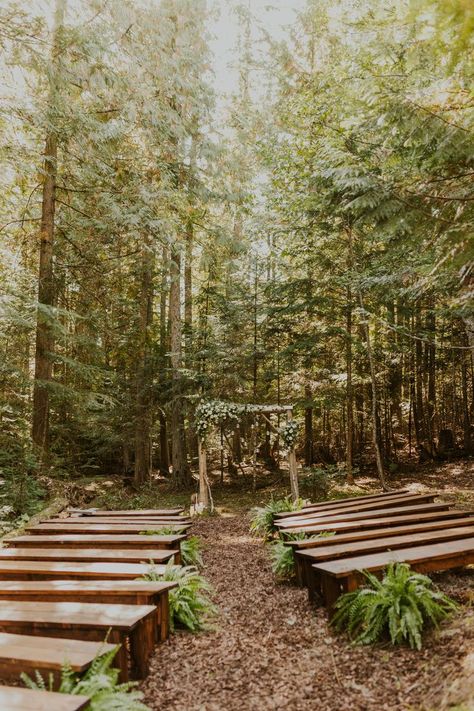 Outdoor Wedding In Woods, Forest Arbor Wedding, In The Woods Wedding Ideas, Creek Side Wedding Ceremony, Ceremony In The Woods, Overlook Wedding Ceremony, Enchanted Forest Wedding Arbor, Forest Wedding Arbor, Small Woods Wedding Ceremony