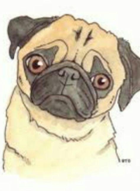 Pug drawing Pug Drawing, Tattoo Painting, Paint Your Pet, Pug Art, Simple Canvas Paintings, Cute Pugs, Pug Love, Dog Drawing, Drawing Videos