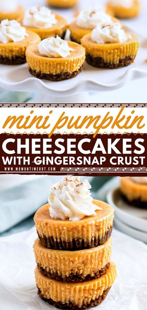 Mini Pumpkin Cheesecake Recipe with Gingersnap Crust, fall baking recipes, thanksgiving desserts Pumpkin Cheesecake Gingersnap Crust, Mini Pumpkin Pie Cheesecake, Pumpkin Cheescake, Easy Fall Baking, Pumpkin Cheesecake Muffins, Mini Pumpkin Cheesecake, Gingersnap Crust, Mini Cheesecake Recipes, Pumpkin Cheesecake Recipes