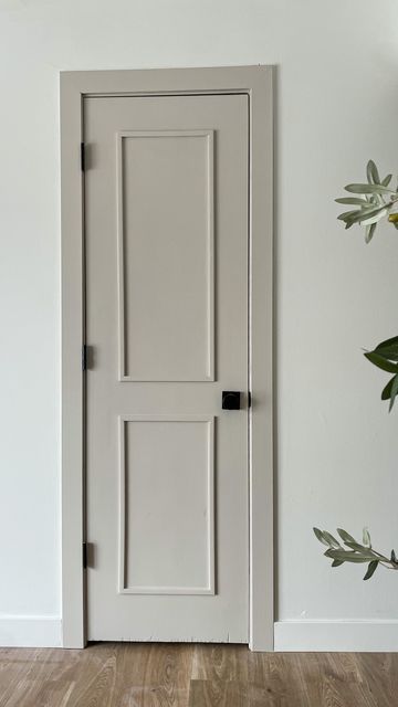 Basic Door Makeover, Wood Door Colour Ideas, Updating Plain Interior Doors, Doors Interior Color Ideas, Flat Doors Makeover, Entry Way Doors Inside, Update Plain Doors, Wall Trim And Door Colors, Door Different Color Than Trim