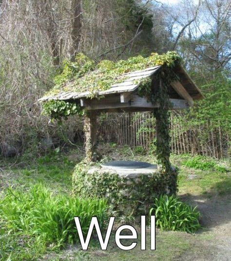 Well, well, well Old Well, Well Well, Forest Path, Water Well, Wishing Well, A Well, Garden And Yard, Cottage Garden, Water Features