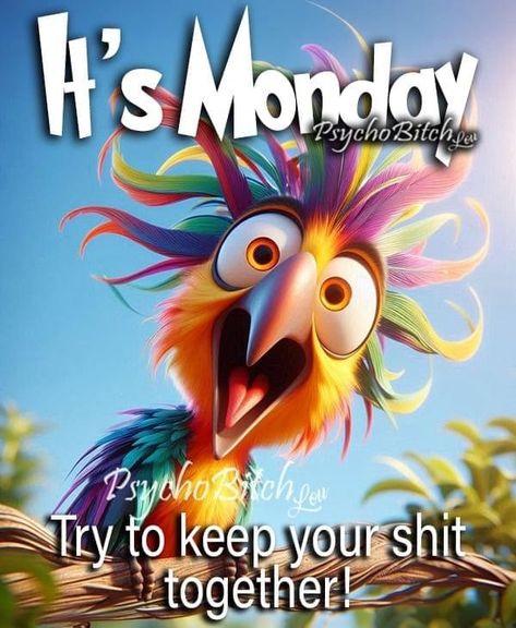 Its Monday Humor Hilarious, Monday Morning Quotes Humor Hilarious, Monday Morning Quotes Humor, Hello Monday Quotes, Happy Monday Humor, Weekday Humor, Funny Monday Quotes, Monday Morning Greetings, Monday Morning Humor