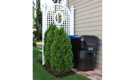 how to hide trash cans | Trellis, Hide Eyesores in Landscape, McDonald Garden Center Trash Can Storage Outdoor, Indoor Floor Plants, Patio Chico, Hide Trash Cans, Garbage Can Storage, Shed Landscaping, Outdoor Trash Cans, Side Yards, The Family Handyman