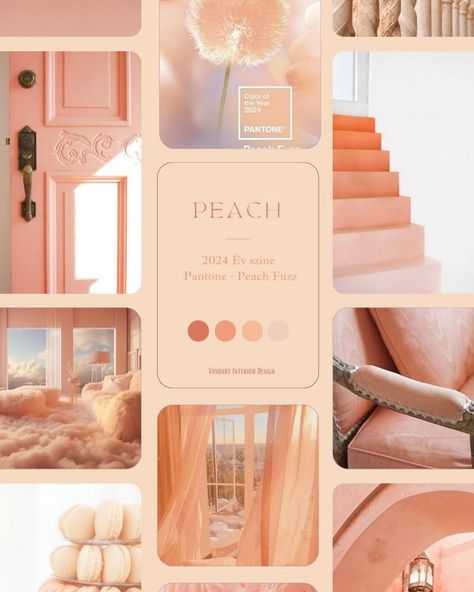 Inspiration is everywhere and often in unexpected places, you just have to keep your eyes open 😍 Did you know peach was @pantone’s colour of the year 2024? 🍑 From peach-coloured skies to bouncy blowdries, head over to my Pinterest for more than just your next appointment inspo… you know where to go 🔗🧡 #inspirationiseverywhere #pinterestinspired #pantonecoloroftheyear #sunsetlover Peach Color Palettes, Pantone 2024, Peach Design, Flamingo Color, Keep Your Eyes Open, Peach Aesthetic, Business Colors, Paint Color Schemes, Bathroom Paint Colors