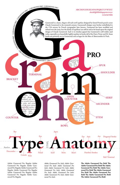 Typography Book Layout, Anatomy Of Typography, Typography Terms, Type Anatomy, Typography Portrait, Typeface Poster, Typographic Poster Design, Graphic Design Portfolio Layout, Typography Book