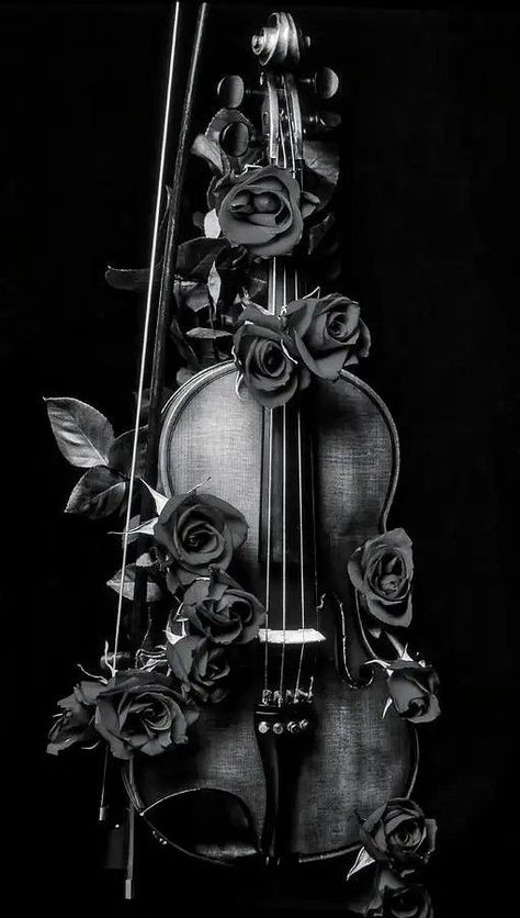 Violin Aesthetic, Aesthetic Iphone Cases, Aesthetic Iphone, Violin, Fine Art America, Roses, Iphone Cases, Black And White, White