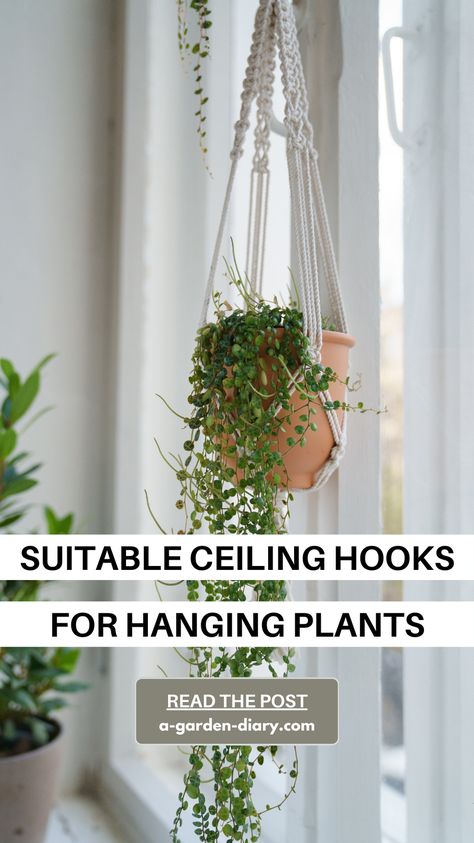 Elevate your indoor garden with the best "Suitable Ceiling Hooks for Hanging Plants." Discover sturdy, stylish hooks that blend seamlessly into your decor while providing strong support for your greenery. From minimalist designs to decorative options, find the perfect hooks to showcase your hanging plants beautifully. Transform your space with these essential accessories and enjoy the lush, vibrant atmosphere that only hanging plants can bring. How To Hang Plants From Ceiling, Plants From Ceiling, Hang Plants From Ceiling, Hooks For Hanging Plants, Hang Plants, Hanging Plants Outdoor, Succulent Bowls, Ceiling Types, Garden Diary