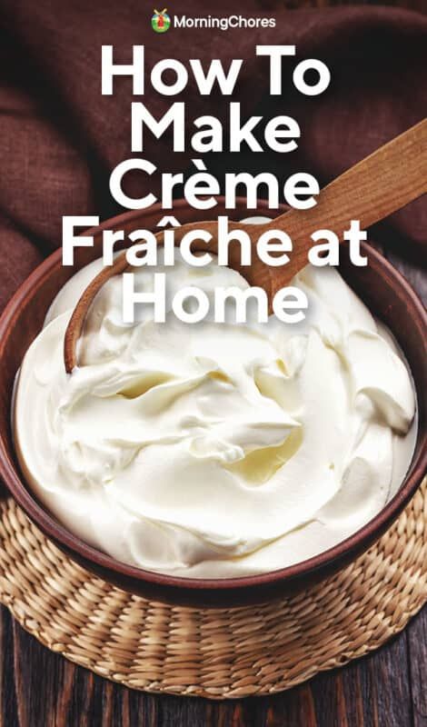 Vanilla Creme Fraiche, Creme Fresh Recipe, Cream Fraiche Recipe, Crème Fresh, Creme Fraiche Sauce, Creme Fraiche Recipes, Morning Chores, Best Overnight Oats Recipe, Dairy Recipes