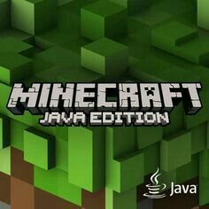 Minecraft App, Minecraft Java Edition, Minecraft Video Games, Minecraft Java, Play Minecraft, Minecraft Pocket Edition, Minecraft Games, How To Play Minecraft, Game Info