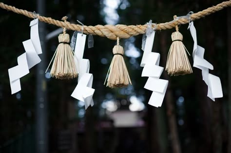 Messy Aesthetic, Jjk Oc, Torii Gate, Shinto Shrine, Japan Culture, Japanese Aesthetic, 판타지 아트, Japanese Design, Character Aesthetic