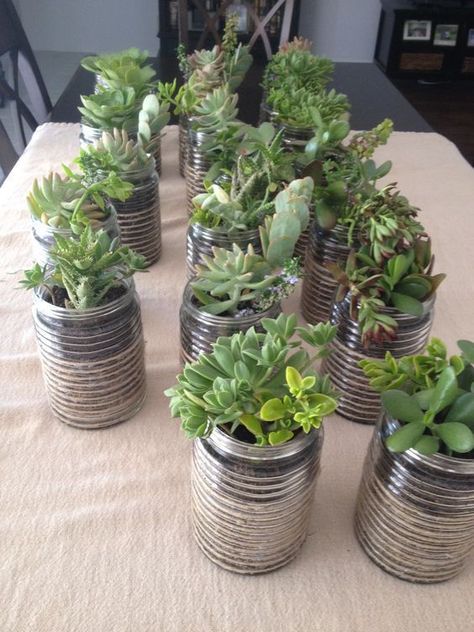 Centerpieces I created for my sonâs graduation party. Dollar Store containers trimmed with twine and easy-to-plant succulents. Open House Centerpieces, Grad Party Table Centerpieces, Rustic Graduation Party Ideas, Centerpieces For Graduation Party, Graduation Table Ideas, Grad Party Centerpieces, Boys Graduation Party, Rustic Graduation Party, Grad Party Theme