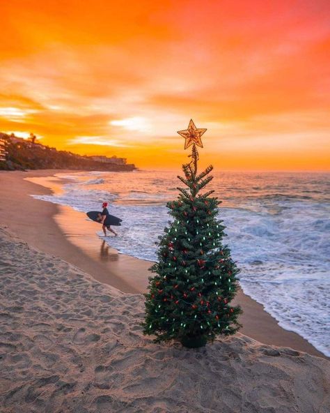 Tropical Christmas Aesthetic, Beach Christmas Pictures, Beachy Christmas Tree, Christmas Travel Destinations, Florida Holiday, Christmas In Australia, Christmas Beach, Aussie Christmas, Florida Christmas