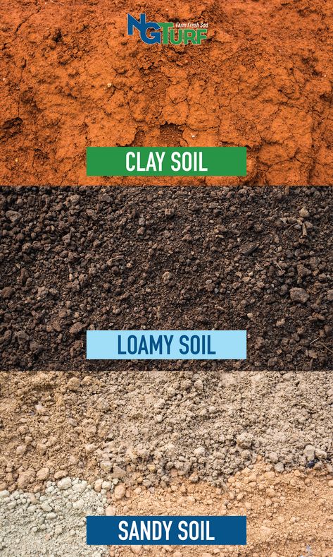 Soil can be friend or foe to your lawn, either encouraging or hampering grass health. You can do everything right at the surface—watering, mowing, fertilizing—but the soil underneath could be thwarting your efforts. Fall is a good time to learn more about your yard’s soil and how it may be affecting your lawn’s health. Soil Science Aesthetic, Types Of Soil Chart, Soil Images, Class 7 Science Notes, Loamy Soil, Indian Geography, Notes Science, Crop Science, Agriculture Photography