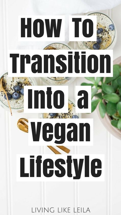 Thinking about going vegan? Read this first to make the transition easier! --www.LivinglikeLeila.com-- Benefits Of Vegetarian Diet, Vegan Coffee Creamer, Vegan Lifestyle Inspiration, Oxalate Diet, Vegan Transition, Low Oxalate, How To Become Vegan, Reading Food Labels, Vegetarian Lifestyle