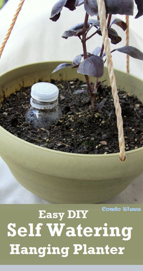 Diy Self Watering, Diy Self Watering Planter, Small Space Garden, Hanging Herb Gardens, Indoor Herb Garden Diy, Small Flower Gardens, Self Watering Containers, Hanging Herb Garden, Space Garden