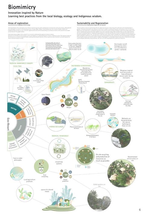 Riverine Eco Retreat | Concept Art Project Resort Concept Design, Biomimicry Architecture Concept, Eco Architecture Concept, Regenerative Architecture, Landscape Design Competition, Koshino House, Green Architecture Concept, Regenerative Design, Indigenous Wisdom