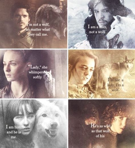 stark children and their wolves Stark Children, Game Of Thrones Series, Got Game Of Thrones, Game Of Thrones Quotes, The North Remembers, Wolf Quotes, Hbo Game Of Thrones, Got Memes, Dire Wolf