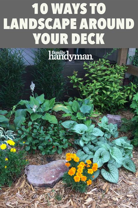 10 Ways to Landscape Around Your Deck Gardens Around Decks, Garden Around Deck Ideas, Garden In Front Of Deck, Deck Perimeter Landscaping, Deck Border Landscaping, Plants Around Deck Landscapes, Front Of Deck Landscaping, Landscaping By Deck, Back Deck Landscaping Ideas