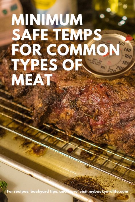 Safety is always important when cooking meat. In this guide, learn the minimum safe temperatures for all common types of grilled meat. #cooking101 Grilling 101, Grill Meat, Food Handling, Grilling Tips, Cooking 101, Cooking Temperatures, Stuffed Whole Chicken, Ground Meat, Ground Pork