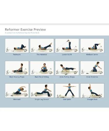 Pilates Reformer Exercise Chart PDF - Free Download (PRINTABLE) Free Pilates Workout, Pilates Certification, Yoga Chart, Reformer Exercises, Beginner Pilates Workout, Pilates Workout Plan, Wall Pilates, Pilates Workout Routine, Pilates Reformer Exercises