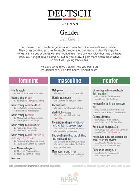 Romance Language Learning — apamexico: Gender of German nouns! Download German Language Funny, German Nouns, Learning German Worksheets, German Phrases Learning, Deutsch Language, German Resources, Study German, German Study, German Phrases