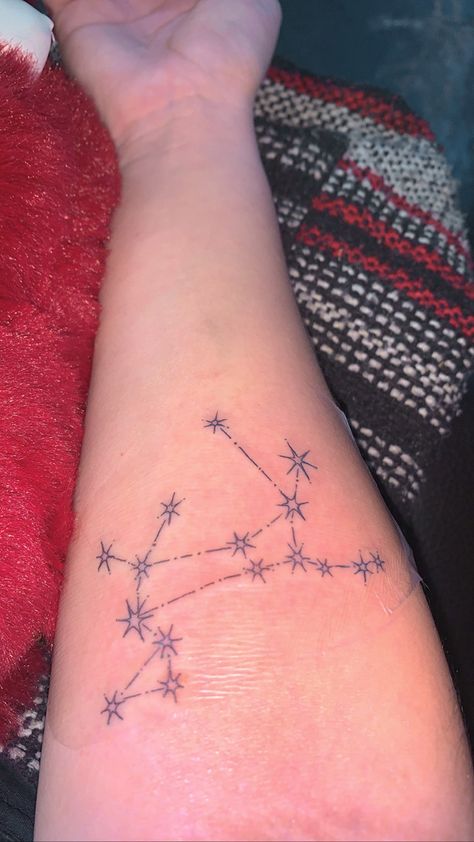 Canis Major Tattoo, Sirius Black Dog, Canis Major Constellation, Star Constellation Tattoo, Canis Major, Constellation Tattoo, Witch Tattoo, Black Inspiration, Constellation Tattoos