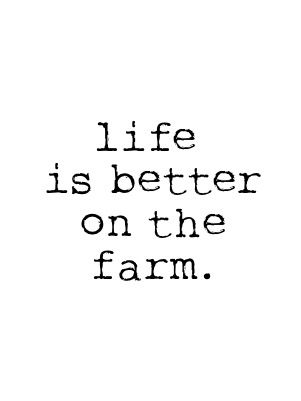 Suits today perfectly...just back from a walk around the farm and feel better...even if it is Winter! Birthday Animals Funny, Happy Birthday Animals Funny, Farm Quotes, Happy Birthday Animals, Birthday Animals, Fina Ord, Funny Farm, Country Girl Quotes, Cattle Farming