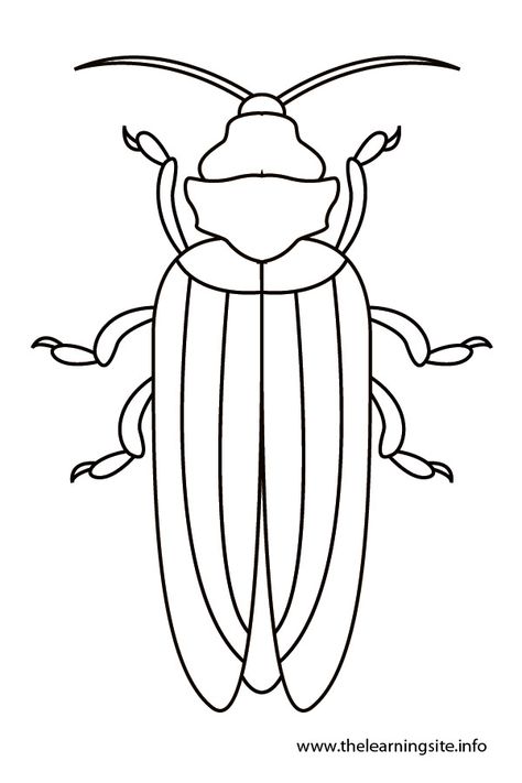 Beetle Outline, Bug Printable, Wardrobe Color Guide, Bugs Embroidery, Artist Bag, Bug Art, Insect Art, Outline Art, Outline Drawings