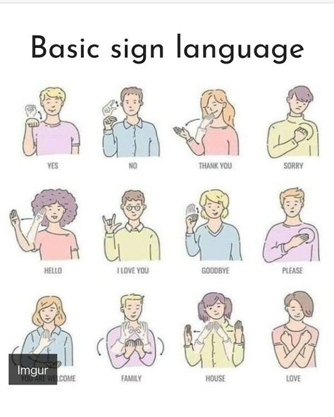 Basic Sign Language, English Sign Language, Disabilities Activities, Simple Sign Language, Asl Sign Language Words, Asl Alphabet, Sign Language Chart, Aomine Kuroko, Sign Language Phrases