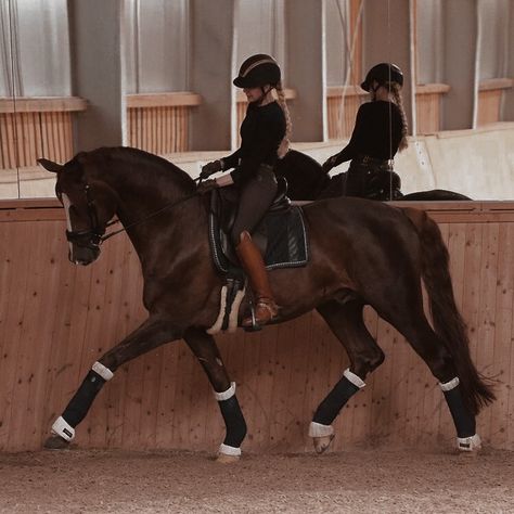 Equestrian Dressage, Horse Riding Outfit, Winter Horse, Equestrian Aesthetic, Cute Horse Pictures, Rasy Koni, Horse Inspiration, Horse Dressage, Horse Aesthetic