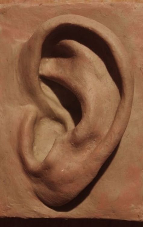 Ear Pottery, Clay Faces Sculpture, Ceramic Face Sculpture, Clay Face Sculpture, Ear Sculpture, Clay Nose, Ceramic Sculpture Figurative, Anatomy Sculpture, Sculpture Head