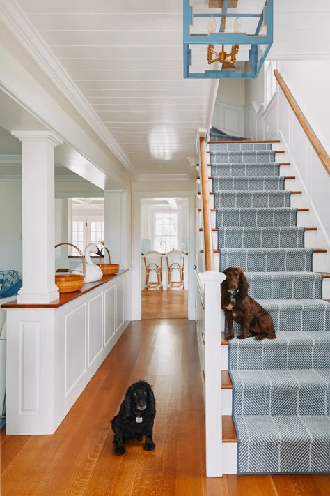 Hamptons Carpet Ideas, Nantucket Beach House Interiors, Blue Carpet Stairs, Modern Nantucket Home, Nantucket Style Kitchen, Nantucket Living Room, Nantucket Houses, Nantucket Bedroom, Nantucket Style Homes Interior