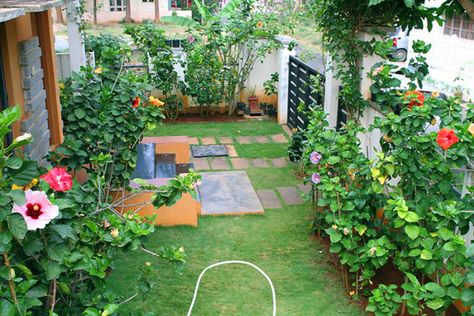 Hidden Valley Hibiscus Worldwide ~ Hibiscus Garden in Bangalore, India Indian Home Garden Design, Garden Ideas India, Growing Hibiscus, Hibiscus Garden, Indian Garden, Garden Nook, Easy Backyard, Garden Makeover, Home Garden Plants