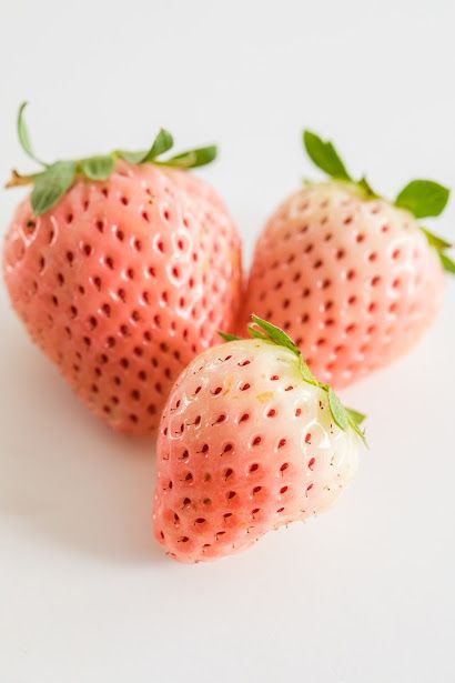 Tha Munchies: Wish Farms Pink-A-Boo Pineberries White Strawberries, Refreshing Snacks, Strawberry Farm, White Strawberry, Fruity Desserts, Fruit Illustration, Strawberry Fruit, Academia Aesthetic, Fresh Food