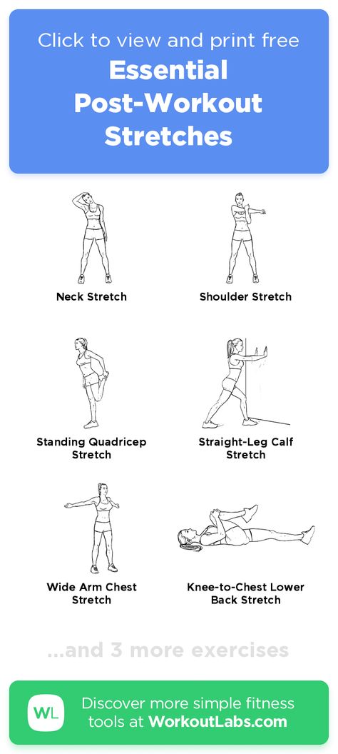 After Workout Stretches, Dynamic Stretching Exercises, Pre Workout Stretches, Workoutlabs Fit, Stretches Exercises, Workout Stretches, Quick Morning Workout, Post Workout Stretches, Workout Labs