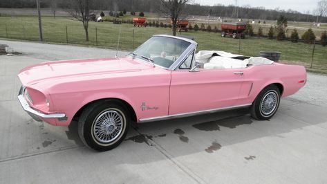 She's a barbie girl, in a 60's barbie world. #convertible #classiccarsculture #classic #vintage #vintagestyle #pink #drive #driving #1960s #fordmustang #ford #mustang Pink Ford Mustang, 1960 Mustang, Pink Mustang, Studebaker Trucks, Pink Convertible, 1968 Ford Mustang, Vintage Mustang, 1960s Cars, Ford Mustang Convertible