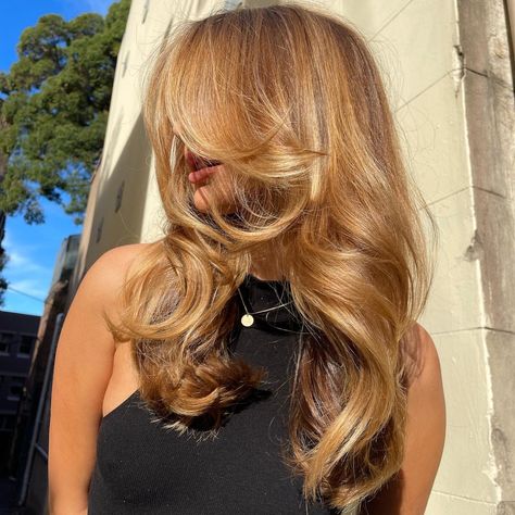 Healthy hair colour will reflect light, illuminating it from within ✨✨ We’re passionate about creating healthy colour 💛 and low commitment … | Instagram Butterfly Haircut Bangs, Haircut Bangs, Caramel Blonde Hair, Warm Blonde Hair, Butterfly Haircut, Honey Brown Hair, Vacation Hairstyles, Bangs Wig, Hairstyles 2024