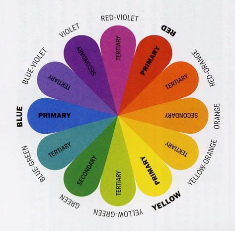 The Art and Science Behind Choosing the Right Colour Palette Family Photo Colors, Tertiary Color, Free Printable Banner, The Color Wheel, Drawing Step, Foto Tips, Art Workshop, Color Wheel, Complementary Colors