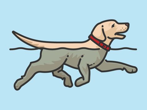 Swimming Labrador Retriever by Scott Lewis Puppy Swimming, Swimming Drawing, Swimming Cartoon, Tatoo Dog, Dog Swimming, Dog Icon, Dog Fashion, Dog Tips, Dog Logo