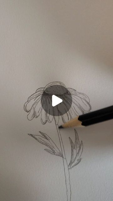 Easy Drawing Realistic, Animated Flowers Drawing, Pencil Drawing Inspiration Creativity, How To Draw A Butterfly On A Flower, Drawing A Flower Easy, Drawing A Daisy, Daisy Drawing Tutorial, Tutorial Flower Drawing, Wilting Flowers Drawing Easy