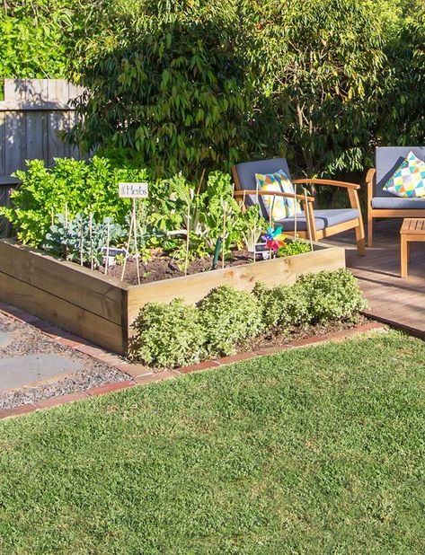 Garden Ideas For Small Yards, Plot Ideas, Vegetables To Grow, Vegetable Patch, Veg Patch, Cement Patio, Winter Gardening, Veggie Patch, Veg Garden